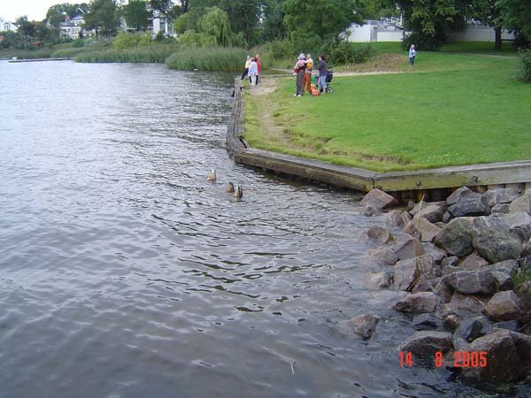 dsc03533